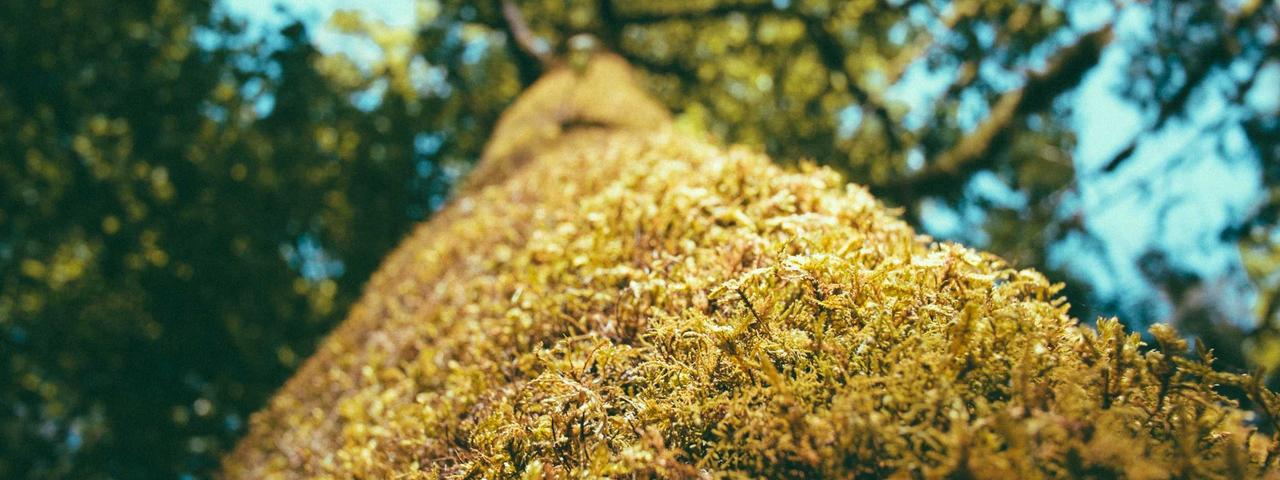 U球体育 综合体育